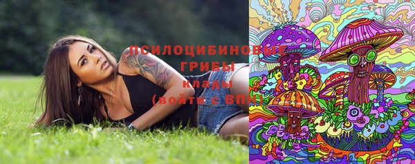спиды Беломорск