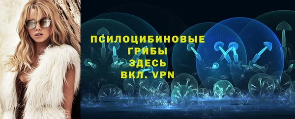 первитин Белокуриха