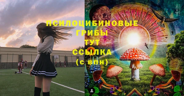 первитин Белокуриха
